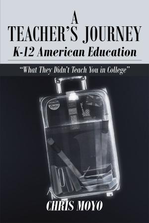 Cover of the book A Teacher's Journey:K-12 American Education by Robert Gillespie