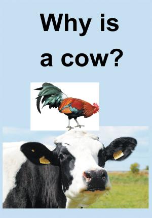Cover of the book Why Is a Cow? by Kimberly Posey Latimore