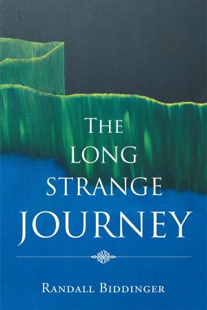 Cover of the book The Long Strange Journey by Akufor I. Aneneba
