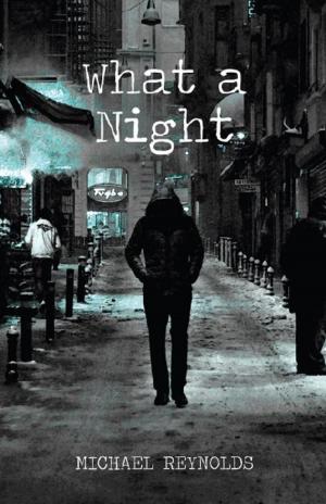 Cover of the book What a Night by K. M. Winthrop