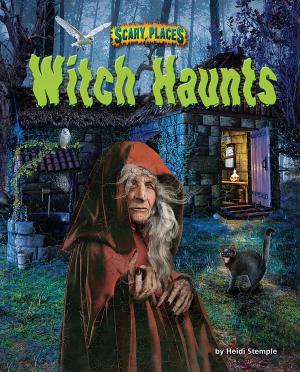 Book cover of Witch Haunts