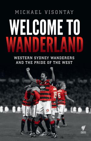 Cover of the book Welcome to Wanderland by Anibal Litvin