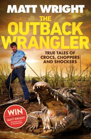 Cover of the book The Outback Wrangler by Sue Bursztynski