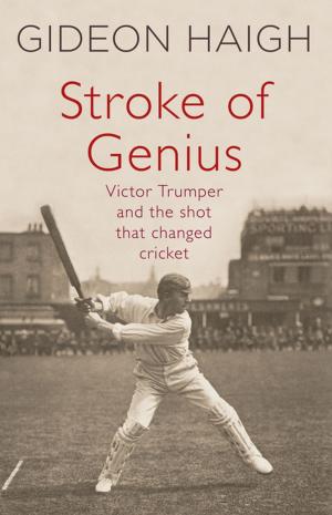 Cover of the book Stroke of Genius by Jodie Wells-Slowgrove