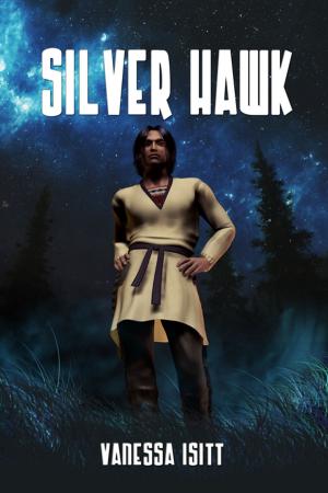 Book cover of Silver Hawk