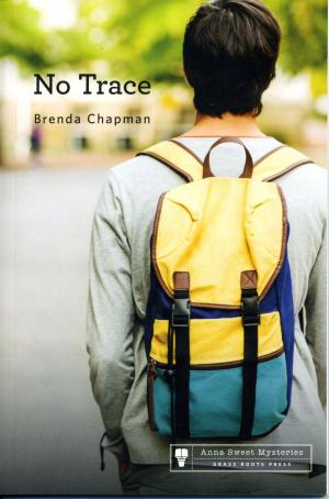 Cover of the book No Trace by Terry Barber
