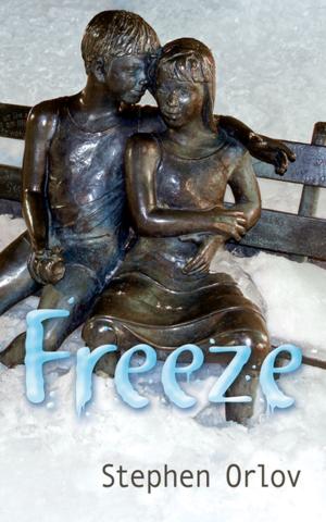 Cover of the book Freeze by Olindo Romeo Chiocca