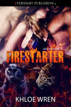 Cover of the book FireStarter by Megan Slayer