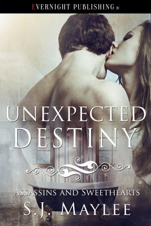 Cover of the book Unexpected Destiny by J.J. Collins