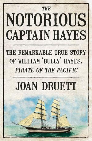 Book cover of The Notorious Captain Hayes