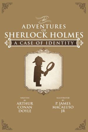 Cover of the book A Case of Identity by Katherine Holman
