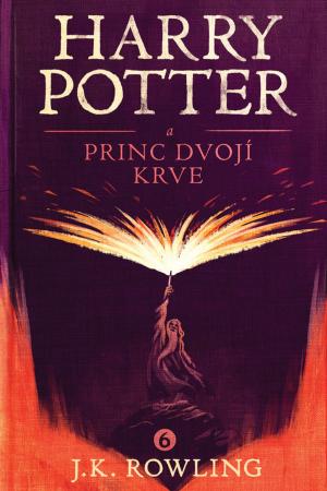 Cover of the book Harry Potter a princ dvojí krve by Jan Art