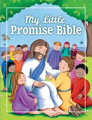 Cover of the book My Little Promise Bible by Elena Pasquali