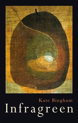 Cover of the book Infragreen by Karina Naomi