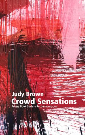Cover of the book Crowd Sensations by Rhian Edwards
