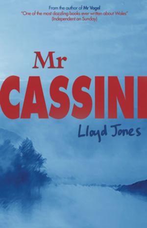 Cover of the book Mr Cassini by Fflur Dafydd