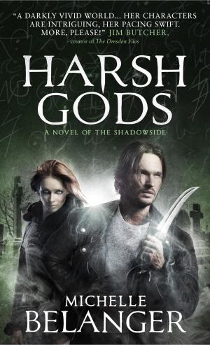 Cover of the book Harsh Gods (Conspiracy of Angels 2) by Kareem Abdul-Jabbar, Anna Waterhouse