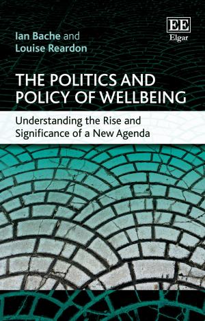 Cover of the book The Politics and Policy of Wellbeing by Denters, S.A.H., Goldsmith, M.J.F., Ladner, A.