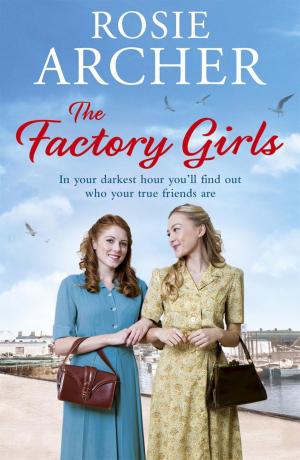 Cover of the book The Factory Girls by Jessamy Hibberd, Jo Usmar