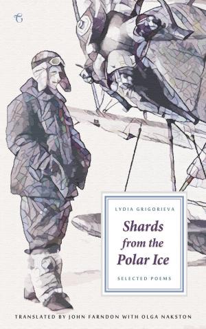 Book cover of Shards from the Polar Ice: Selected Poems