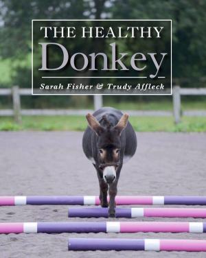 Cover of the book Healthy Donkey by Jane Griffin