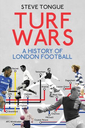 Cover of the book Turf Wars by David Battersby