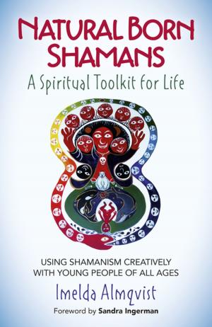 bigCover of the book Natural Born Shamans - A Spiritual Toolkit for Life by 