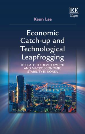 bigCover of the book Economic Catch-up and Technological Leapfrogging by 