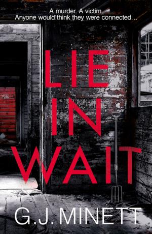Cover of the book Lie in Wait by Ellen Renner