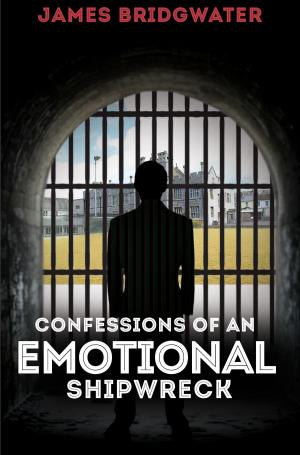 Cover of Confessions Of An Emotional Shipwreck