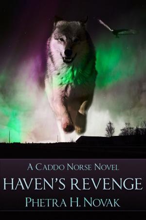 Cover of the book Haven's Revenge by Natalie Anderson