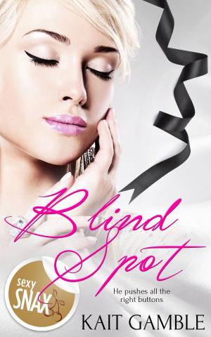 Cover of the book Blind Spot by Cheryl Dragon