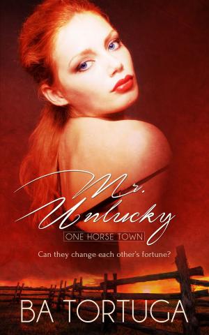 Cover of the book Mr. Unlucky by L.M. Somerton