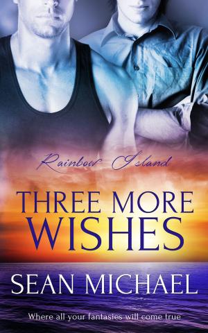 Cover of the book Three More Wishes by Nadia Aidan