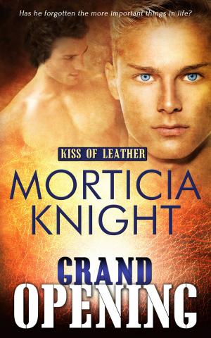 Cover of the book Grand Opening by Justine Elyot