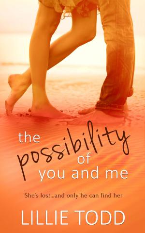 Cover of the book The Possibility of You and Me by Morticia Knight