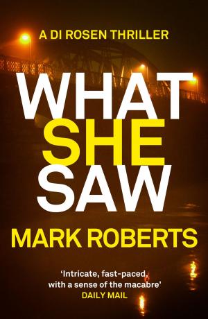 Cover of the book What She Saw by Tania Crosse