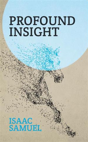 Cover of the book Profound Insight by David Kieghe