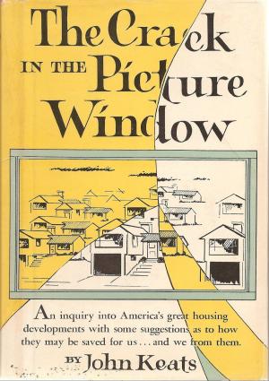 Cover of the book The Crack in the Picture Window by Major Craig A. Tucker