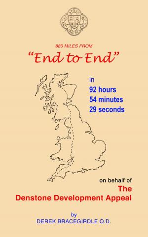 Cover of the book End to End by Alison Cable, Julian Cable