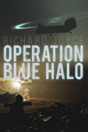 Cover of the book Operation Blue Halo by Alasdair Barcroft, Dr Audun Myskja
