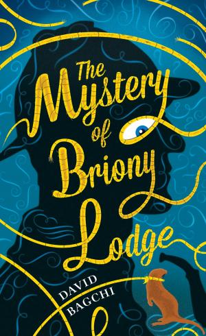 Book cover of The Mystery of Briony Lodge