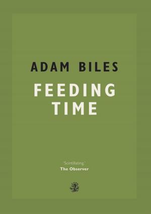 Cover of the book Feeding Time by Alex Preston