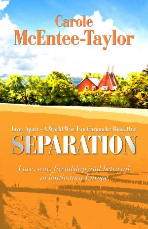 Cover of the book Separation by S.E. Wright
