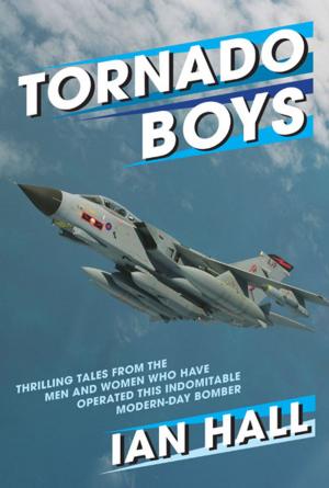 Book cover of Tornado Boys
