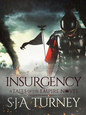 Cover of the book Insurgency by Will Jordan