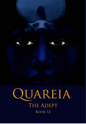 Book cover of Quareia The Adept
