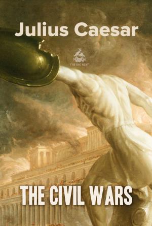 Cover of the book The Civil Wars by Euripides