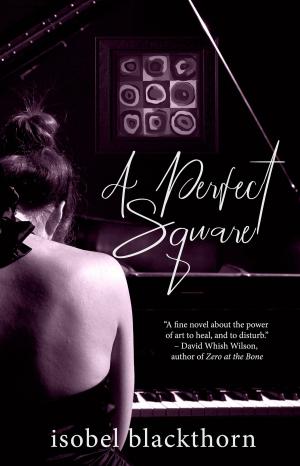 Cover of the book A Perfect Square by Cindy Cipriano
