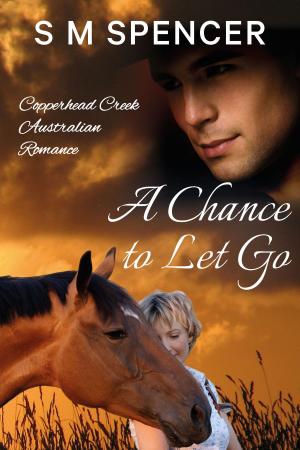bigCover of the book A Chance to Let Go by 